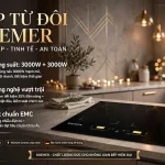 Bếp Từ Đôi BREMER