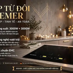 Bếp Từ Đôi BREMER