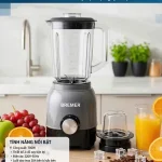 Máy xay sinh tố Bremer BM-122MX
