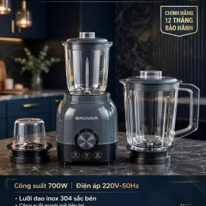 Máy xay sinh tố Bremer BM-123MX